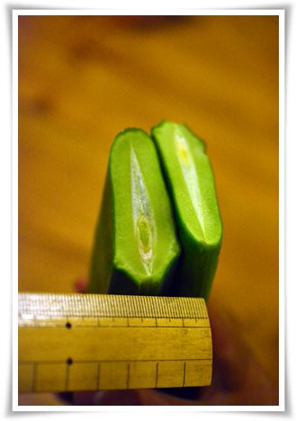 野菜たち_f0188237_18162055.jpg