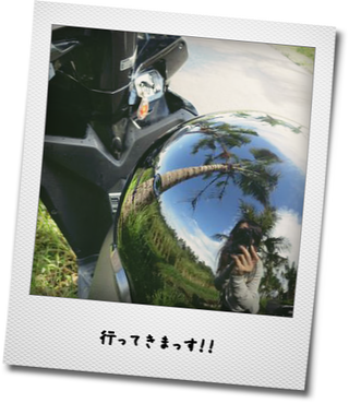 c0148238_243442.png