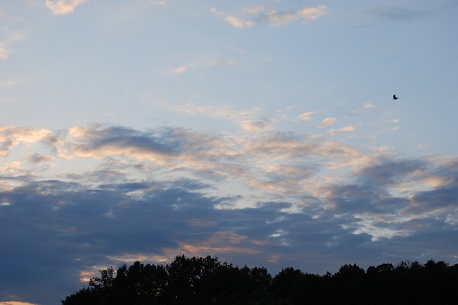 2014年9月4日　夏の空_b0341140_15413589.jpg