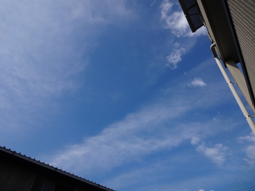 c0264343_2135950.jpg