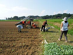 今年も無事に「土の塾」が終了!_d0247345_13163284.jpg
