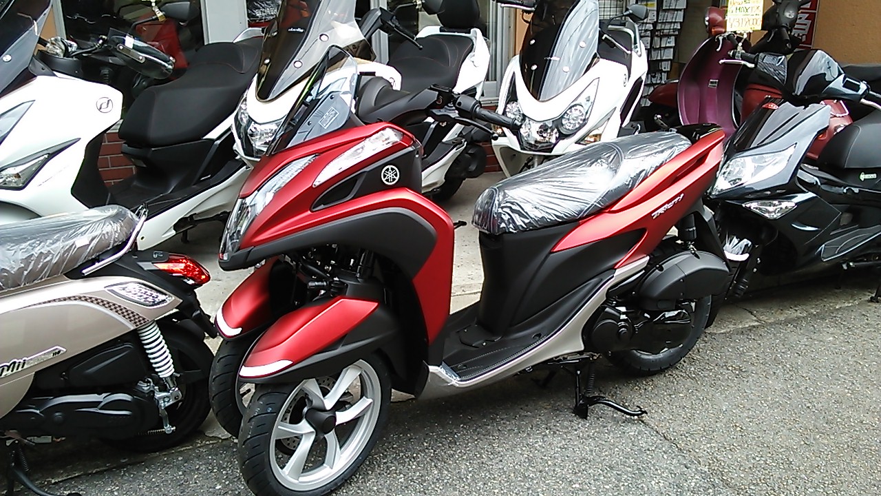 ＴＲＩＣＩＴＹ　１２５　入荷しました！_a0169050_19233692.jpg