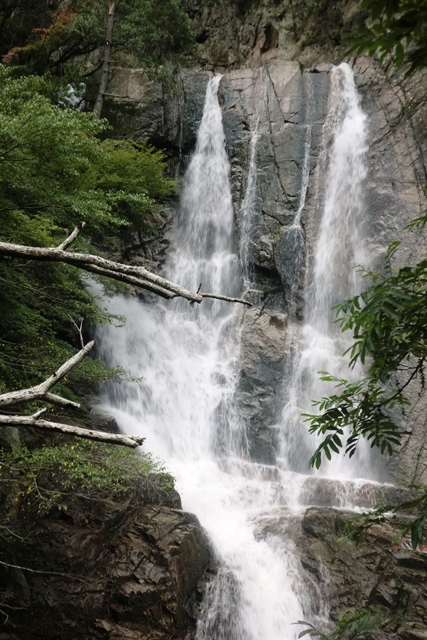 布引の滝~布引ハーブ園_b0227552_15400207.jpg