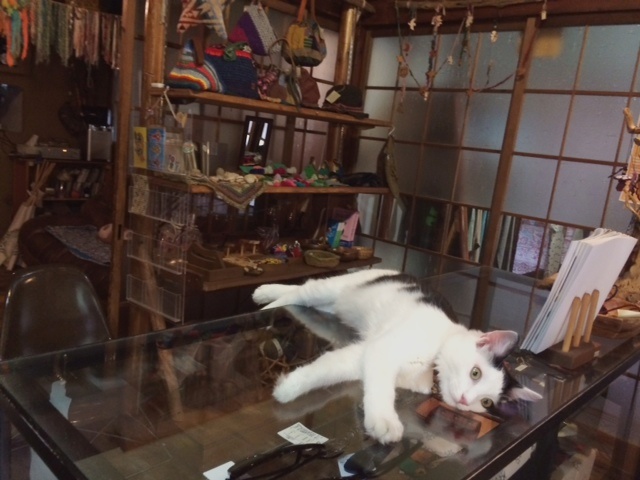 ①.緑深き日本の夏と秘境温泉&猫スポット、Brooklynでヒポノ&サウンドヒーリング_b0173754_18094807.jpg