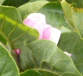 8月24日 上石津に行きました_f0197754_23474073.jpg