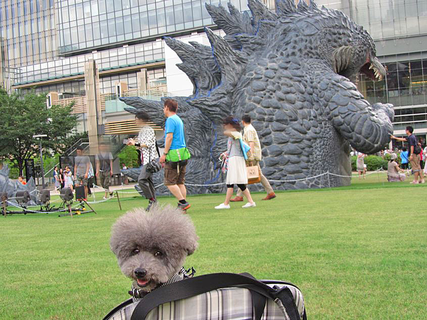 GODZILLA@Midtown_e0129656_21501326.jpg