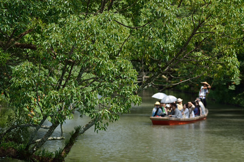 柳川の風景_b0170969_21313576.jpg