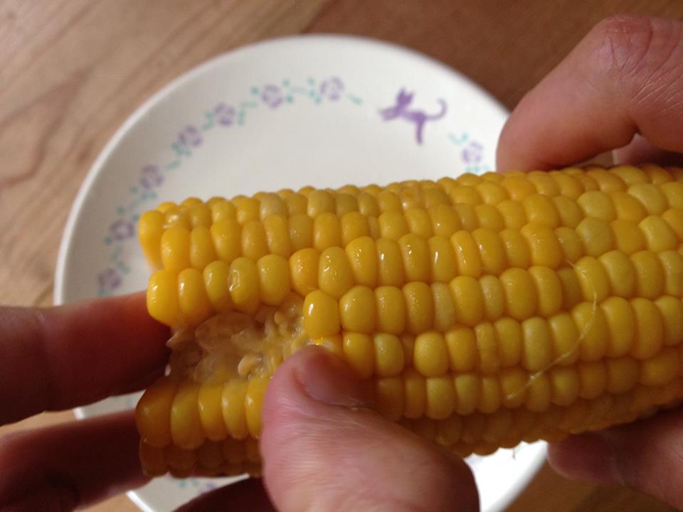 c0127670_2848.jpg