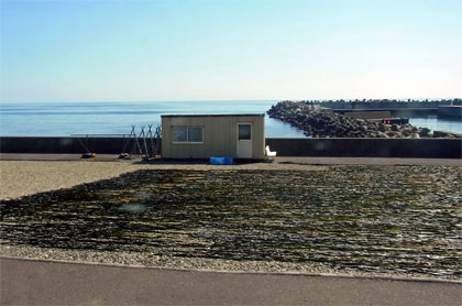 f0083977_20561168.jpg