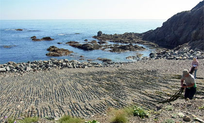 f0083977_20573598.jpg