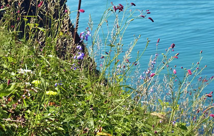 f0083977_21162688.jpg