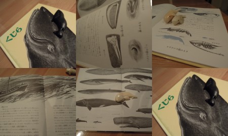 f0337677_21565030.jpg