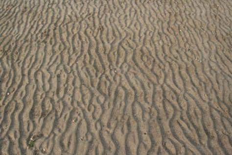 c0329378_09363940.jpg