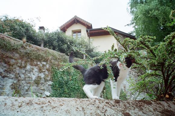 f0046982_15542783.jpg