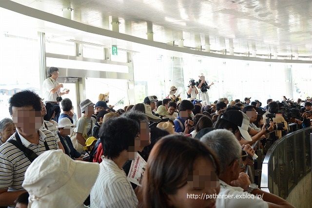 ２０１４年８月　白浜パンダ見隊　その９　（３日目） 海陽誕生会　落ち着きの無い海ちゃん_a0052986_0511571.jpg