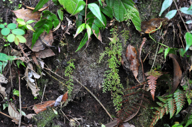 e0218504_20260810.jpg