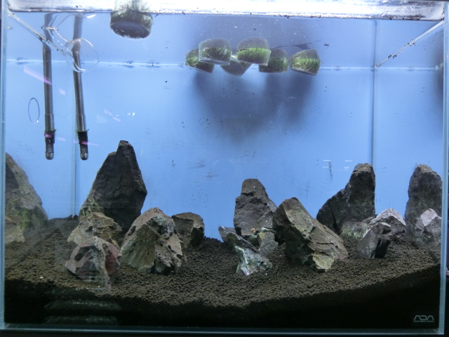 ADA万天石を使った水草レイアウト水槽 その2_b0141806_122638.jpg