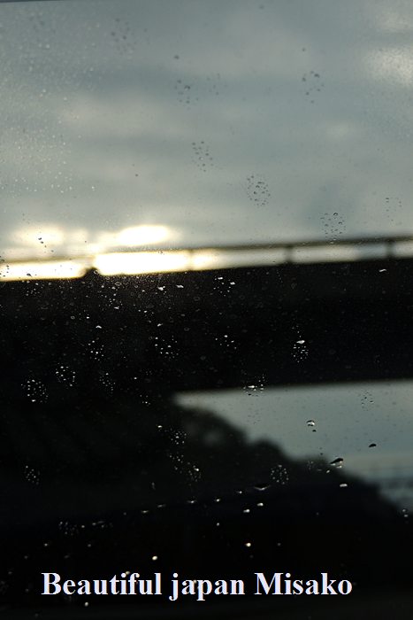 c0067206_07554384.jpg