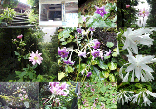 f0231709_1034345.gif
