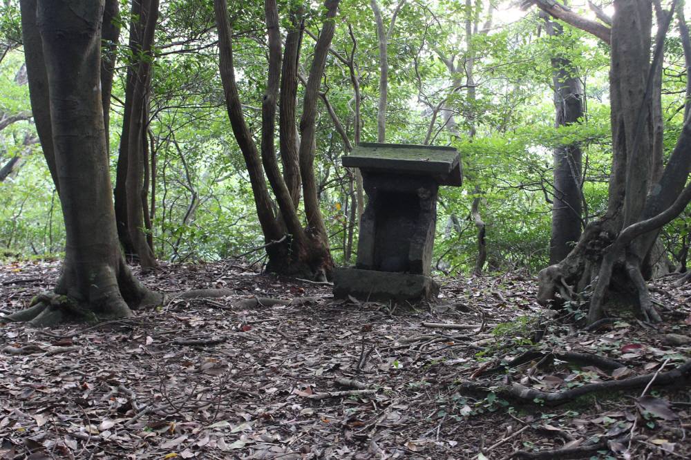 f0212511_713301.jpg