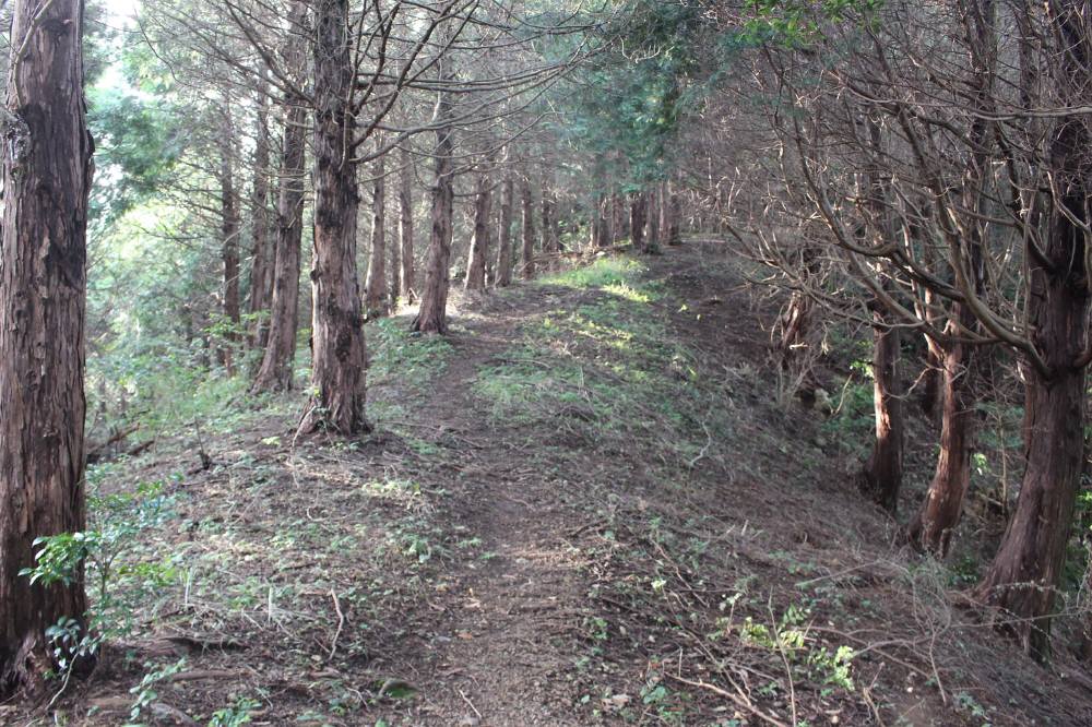 f0212511_714123.jpg