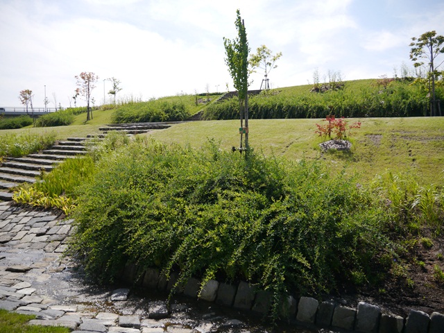 e0336214_14334434.jpg