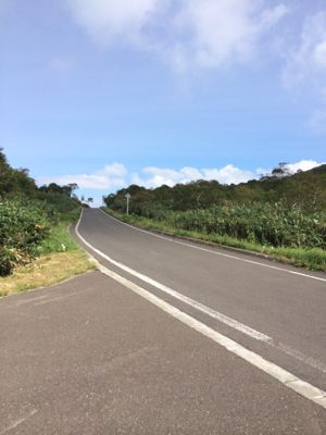 f0147821_15465044.jpg