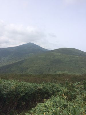 f0147821_15465738.jpg
