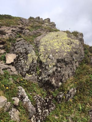 f0147821_1547062.jpg
