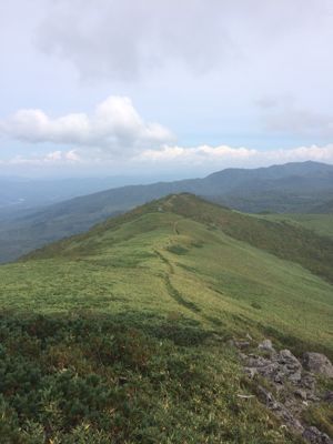 f0147821_1547215.jpg