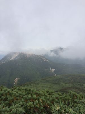 f0147821_1612087.jpg