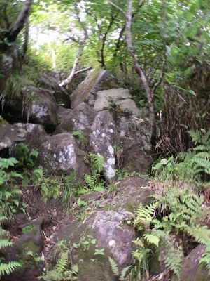 f0147821_161890.jpg