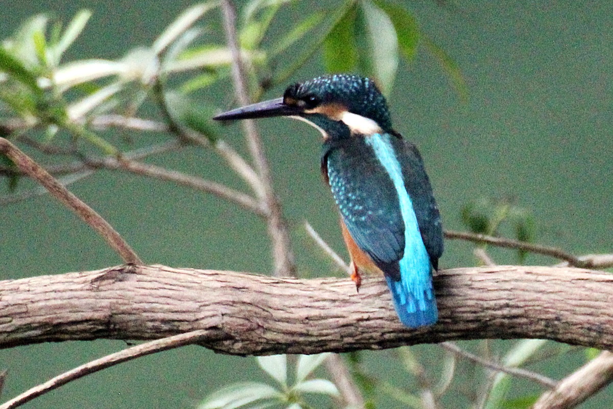 f0310221_822195.jpg