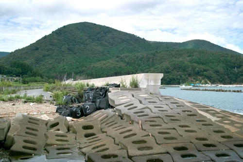 f0338531_08262698.jpg