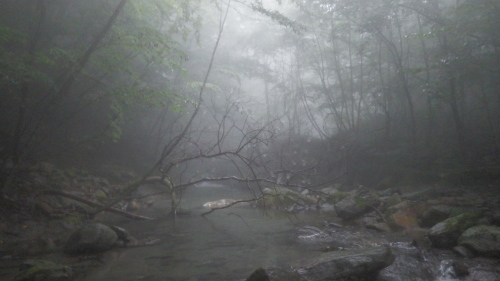 ホーム釣行 その3_c0149633_17472539.jpg