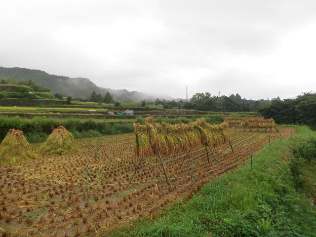 e0241833_7473547.jpg