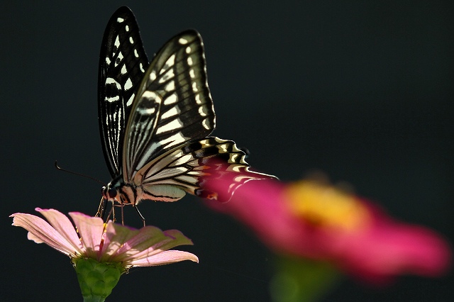 a0242438_20101611.jpg