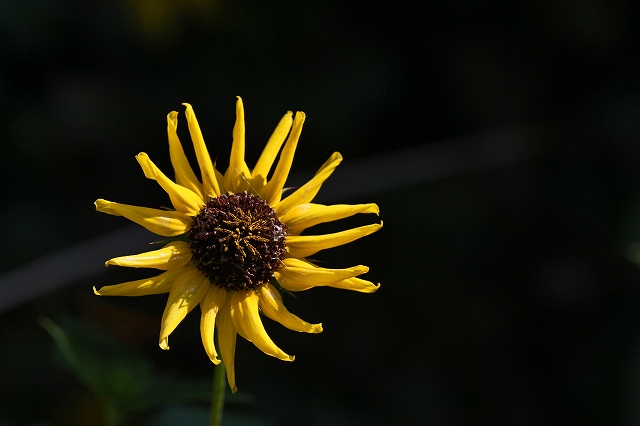 a0242438_20103314.jpg