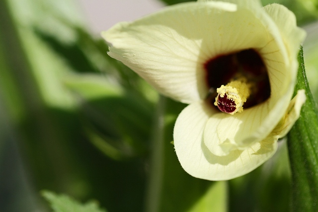 a0242438_2011352.jpg
