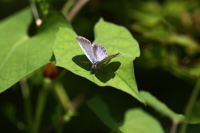 a0242438_2094767.jpg