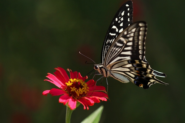 a0242438_2095836.jpg