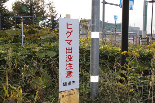 釧路空港クマ騒動 9月4日_f0113639_16193581.jpg