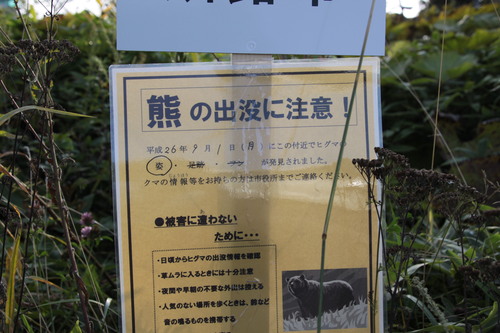 釧路空港クマ騒動 9月4日_f0113639_1620331.jpg