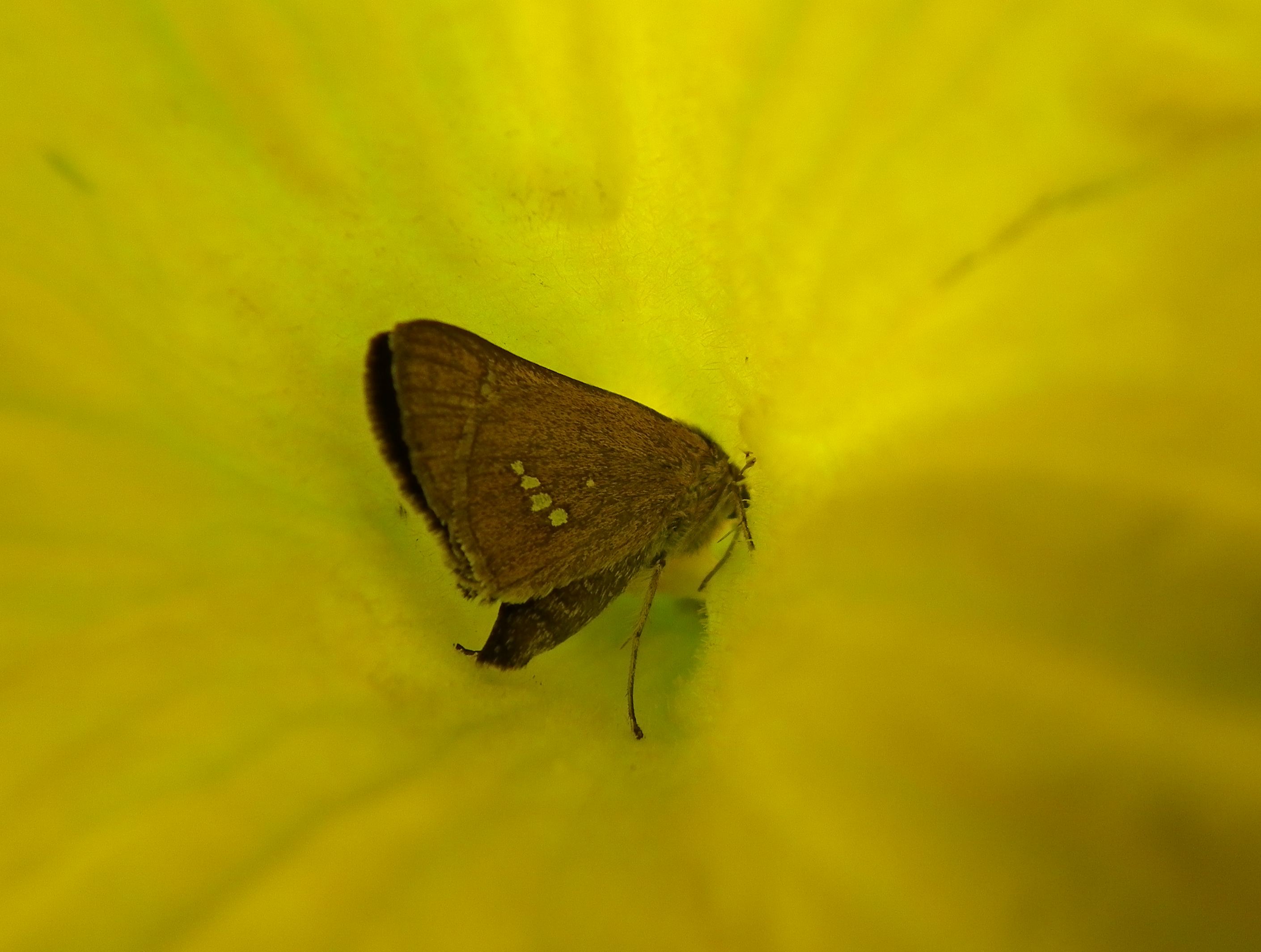 d0254540_1832482.jpg