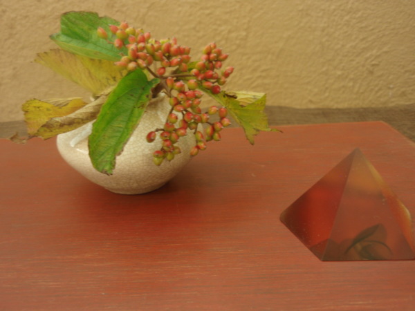 棚橋祐介展 2日目_b0132442_16414146.jpg