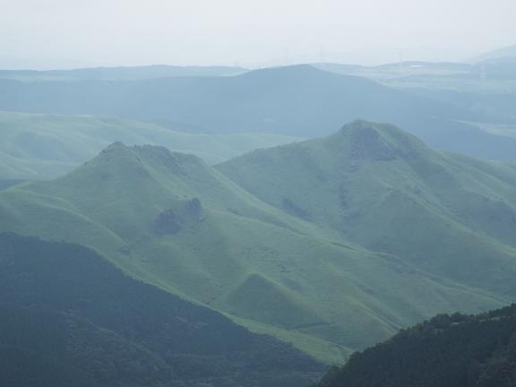 俵山へお花散策_e0164643_13432920.jpg