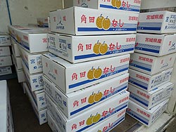 今年も特別会員(サポーター)へ梨(幸水)の発送をしました!_d0247345_1320146.jpg