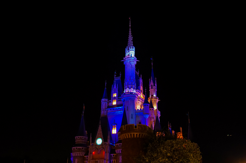 Once Upon A Time 東京ディズニーランド 花景色 K W C Photoblog