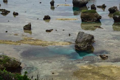 宮古島　旅編　〜東南端　東平安名崎方面〜_e0076349_01263482.jpg