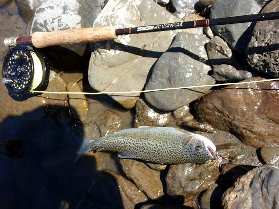 c0097652_2164320.jpg